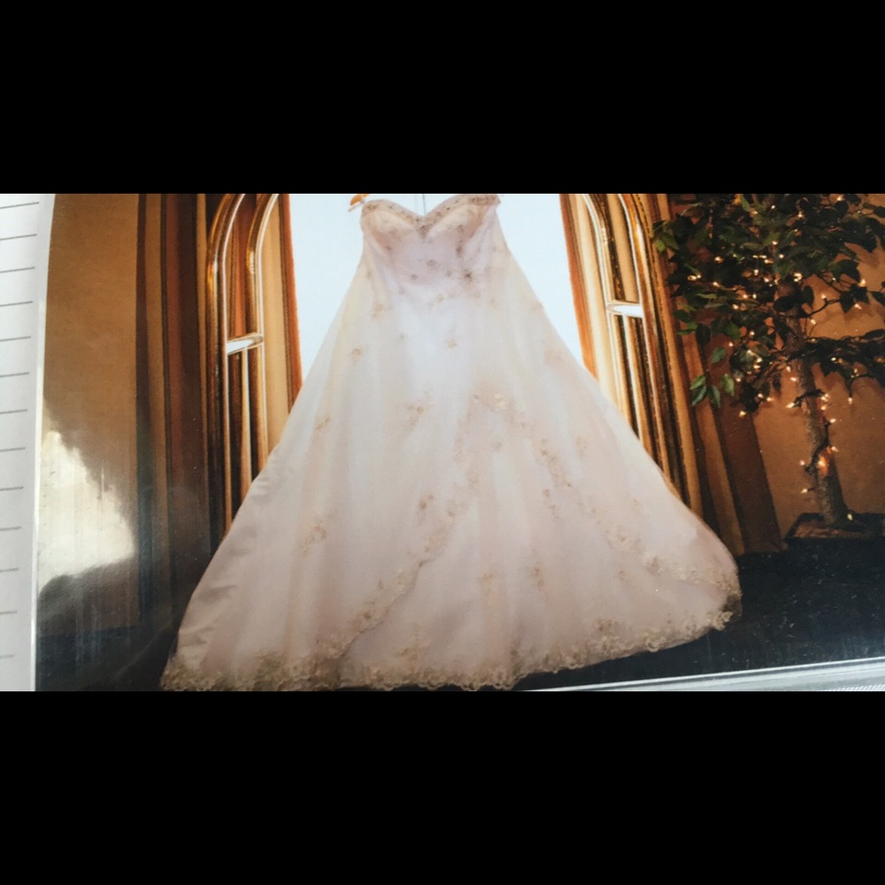 Alfred Angelo wedding dress plus size